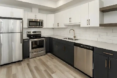 Modern 2 Bedroom 2 Bathroom with Gym Available May 1! Image# 5