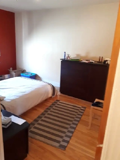 Rosemont - Petite Patrie Beau 5 et demi Image# 1