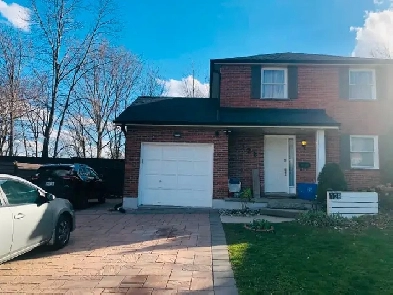 1 bedroom basement rental Image# 1