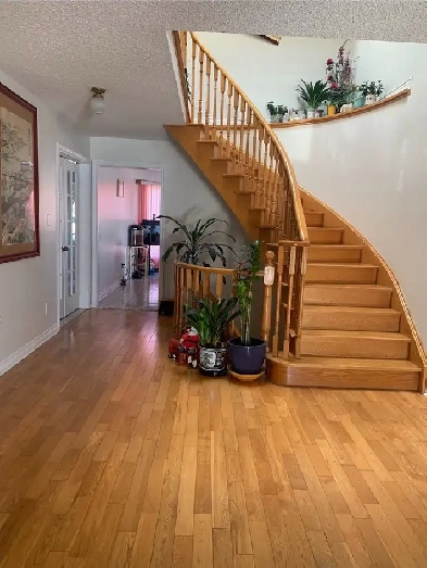 Bayview / HWY 7 Image# 1