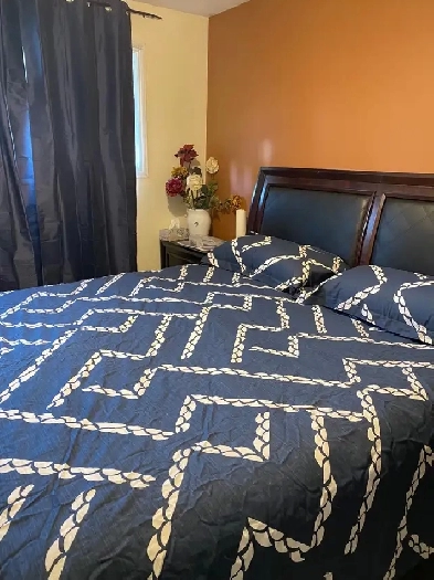 rm for rent in Capilano @775/month or 325/wk Image# 4