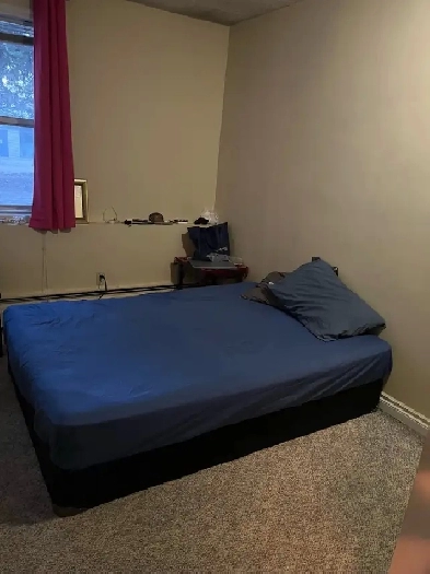 Room for Rent Image# 2