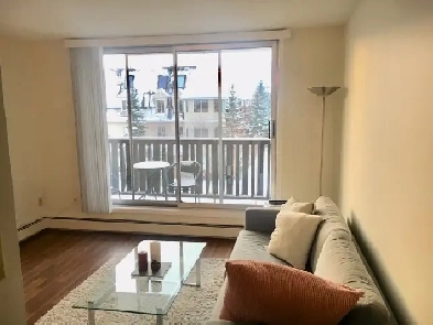 Fantastic Top Floor 2 bed. apartment in Kensington, close to LRT Image# 8