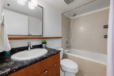 Furnished 1BR   Solarium in the Heart of Downtown Vancouver Image# 7