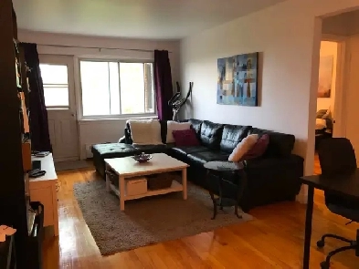 3½ Très Grand - 10min. de Université de Montréal - Faut Voir Image# 1