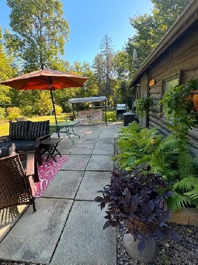 Seasonal Cottage for Sale Image# 1