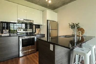 3 1/2 à louer - Griffintown Image# 1