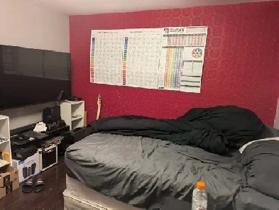 One room in basement for rent. Steels and Dufferin. Image# 3