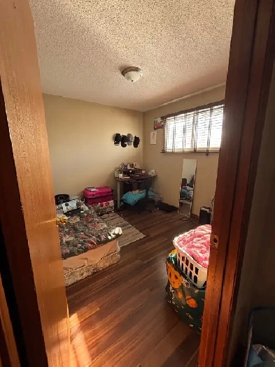 1 room in a 3 bedroom ALL GIRLS HOUSE available for RENT Image# 3