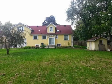 Rooms for Rent Image# 1