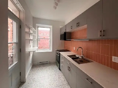 Beau et grand 3 1/2 fraîchement rénové à Outremont Image# 1