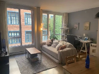 Appartement 3 ½ tout inclus  Vieux-Montréal - 3 1/2 all included Image# 1