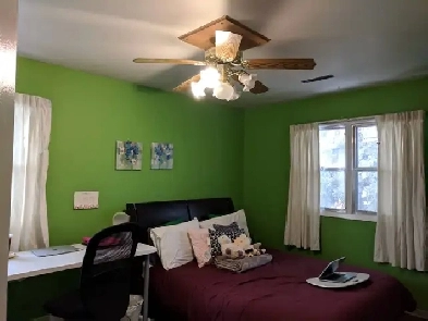 Room for Rent near U of A - 600 meters to LRT Image# 4