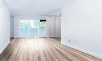 Lease Takeover - One Month Rent Free DT Sarnia newly renovated! Image# 1