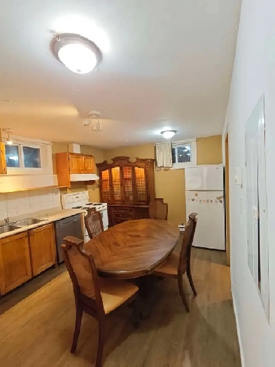 Appartement 3 1/2 à louer proche de la ligne bleue Image# 1