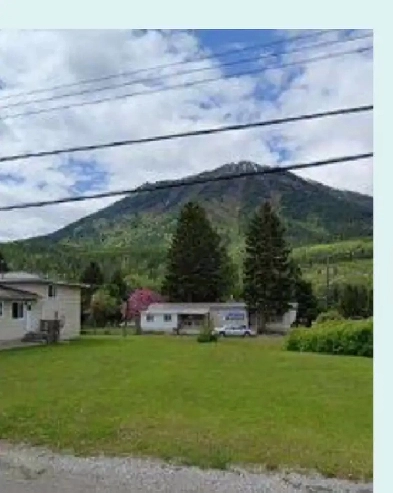 Rare ! Empty corner lot in most desirable annex of fernie !! Image# 1