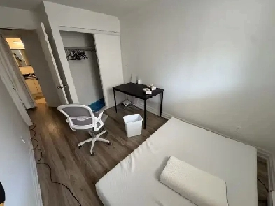 Furnished Ottawa 2b2b Apartment for Rent from May 1 Closed to UO Image# 1