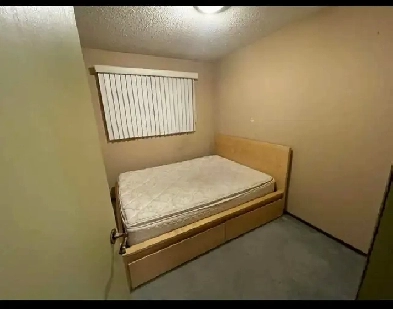 Room for Rent for a female from May 1st Image# 1
