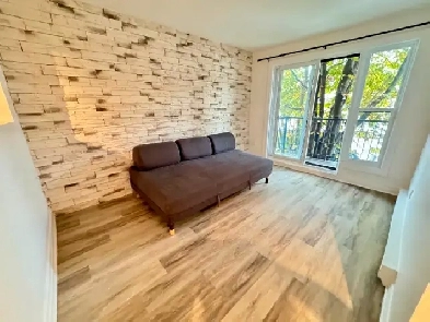 Rosemont rue Delorimier et Dandurand 5 min du plateau! Image# 1