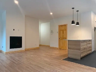 Rez-de-chaussée 2 chambres - Val-David Image# 1