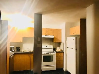 Appartement meublé A à ZZZ - tout inclus Laval 4 1/2  - 1e étage Image# 8