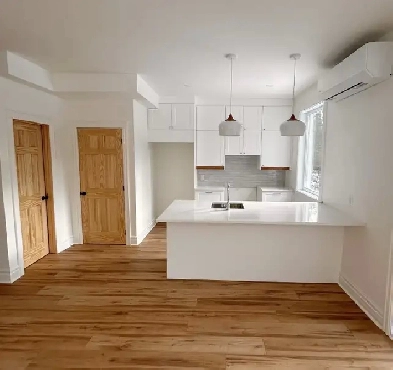 Rez-de-chaussée neuf  à Val-David Image# 1