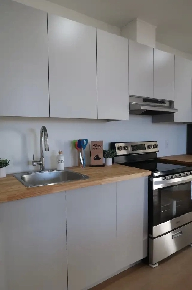 3 bedroom apartment in St. John's Image# 3