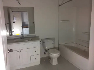 Bachelor Apartment for Rent Image# 2