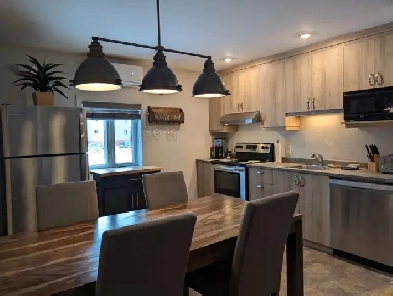 LOGEMENT 4 1/2 À LOUER ST-HYACINTHE Image# 8