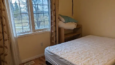 Dundas/mavis Furnished room for ren Image# 1