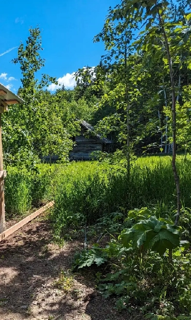 Pasture Land Image# 1