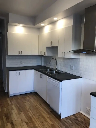 4 ½ rénové – électricité et 5 électros inclus - Metro Verdun Image# 1