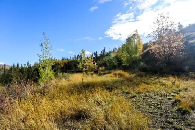 481 Clough Road, McLure Image# 5