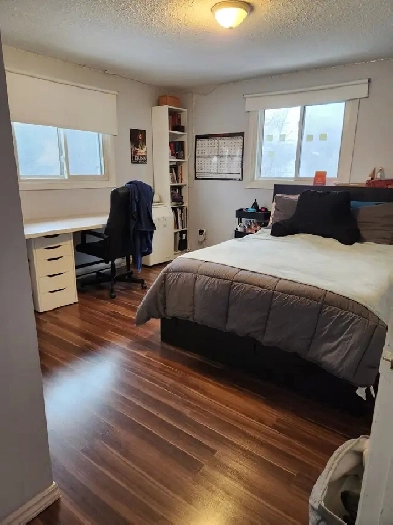 6 Bedroom Student Home in a Great Location - Female Roommates Image# 1