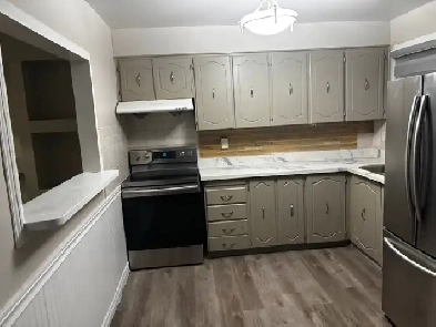 one bedroom basement for rent Image# 3
