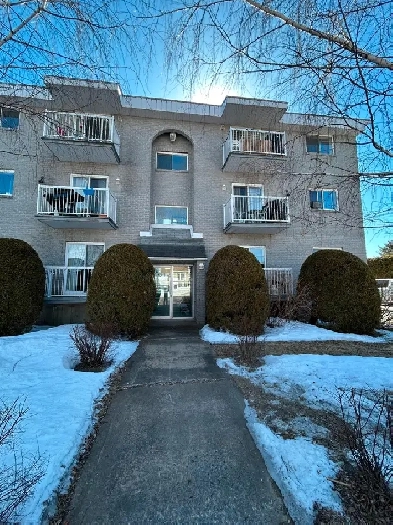 Appartement à louer Image# 3