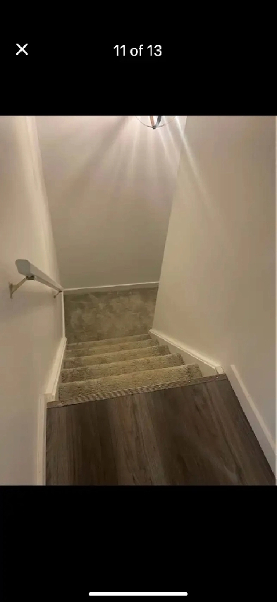 1 bedroom basement available for rent Image# 1