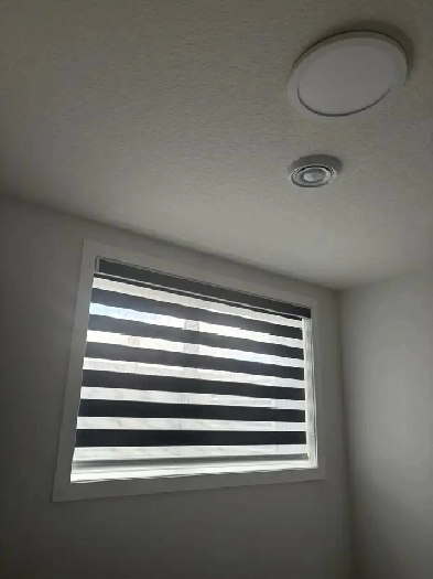 1 bedroom in 2 bedroom basement Image# 1