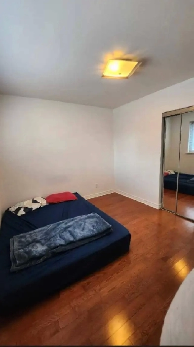 Private room for rent Image# 4
