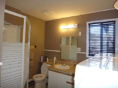 ROOM FOR RENT IN THICKWOOD Image# 3