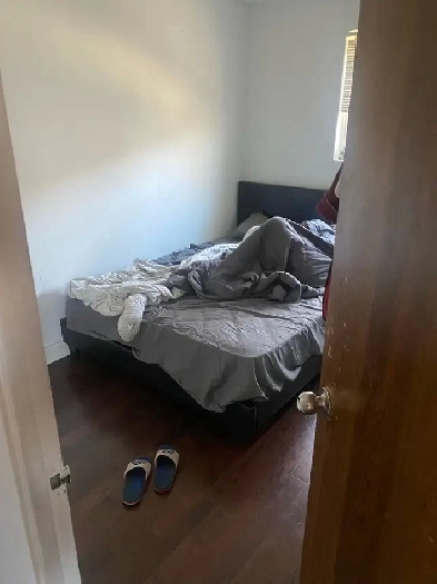 3. Bedroom house for rent in Brampton Image# 3