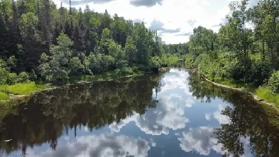 10 ACRES FOR SALE IN FIELD ONT. Image# 5