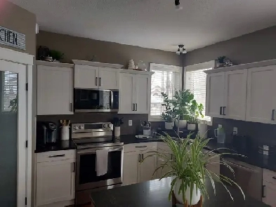 Fully Furnished Basement Suite for Rent - Available Immediately Image# 3