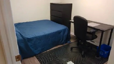 Immed-Aug 31-Bank/Hunt Club-Share a 2bed bsmt apt-See VIDEO Image# 5