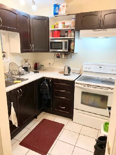 1 Bedroom Apartment Downtown (Open Now) - Dog & Cat Friendly Image# 16