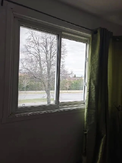Très grande chambre à Brossard disponible tout de suite Image# 1