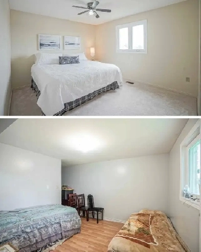 Basement Apartment for Rent Image# 1