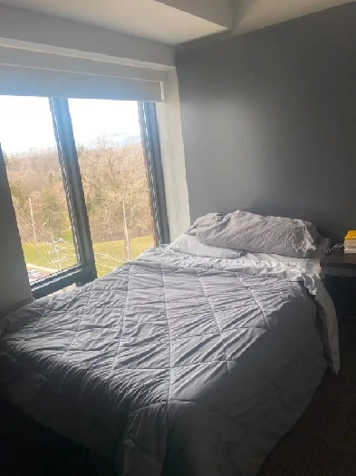 Summer Sublet, Luxe London Image# 1