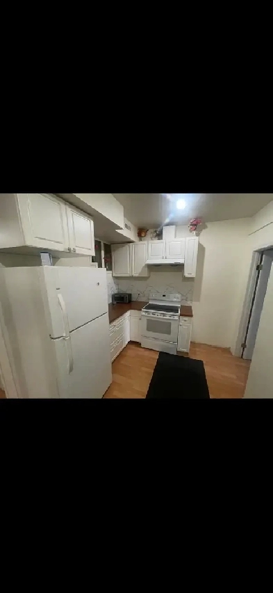 Basement for rent Near Shoppers Saddletowne Image# 4