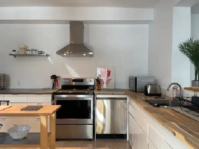 Petite-Patrie/Plateau/Rosemont - furnished 2 bedroom apartment Image# 7
